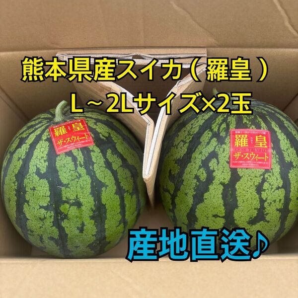 産地直送 熊本県産 スイカ×2玉(羅皇ザ スウィート) 秀品 L~2Lサイズ(6~7キロ)