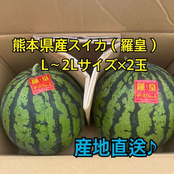 産地直送 熊本県産 スイカ×2玉(羅皇ザ スウィート) 秀品 L~2Lサイズ(6~7キロ)