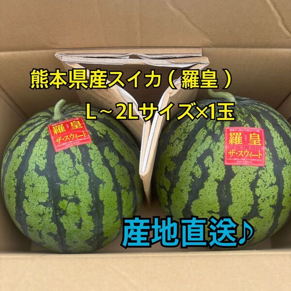 産地直送 熊本県産 スイカ×1玉(羅皇ザ スウィート) 秀品 L~2Lサイズ(5.8~7キロ)