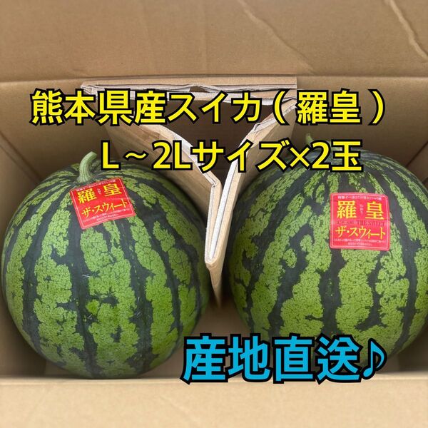 産地直送 熊本県産 スイカ×2玉(羅皇ザ スウィート) 秀品 L~2Lサイズ(5.8~7キロ)