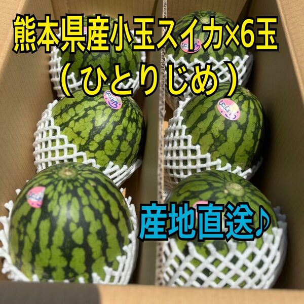 産地直送 熊本県産 小玉スイカ×6玉 ひとりじめ 秀品
