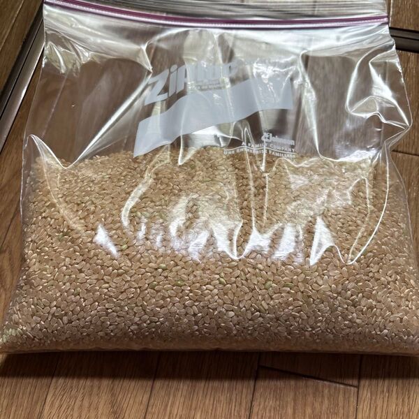 令和6年度長野県産コシヒカリ 玄米1kg