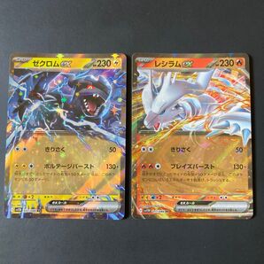レシラム ゼクロム ポケモンカード