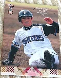 北海道日本ハムファイターズ 『坪井智哉』選手 BBM 2007年 ベースボールカード