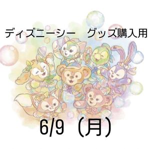 6/9ディズニーシー グッズ購入用 リーナベル オンラインショッピング用 ダッフィー TDS