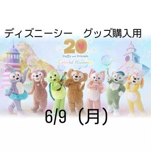 6/9ディズニーシー グッズ購入用 リーナベル オンラインショッピング用 ダッフィー TDS