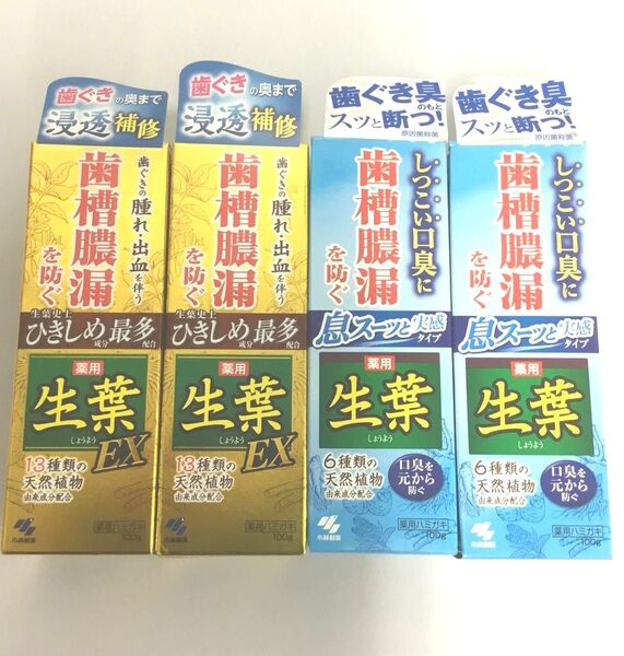新品 小林製薬 生葉EXひきしめ最多&生葉息スーッと実感 計4点セット