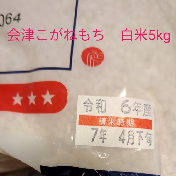 ◆梅雨入りSALE中◆令和6年産 新米 福島県会津 こがねもち もち米 白米5kg 送料無料