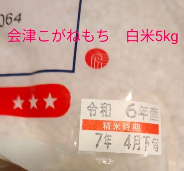 ◆梅雨入りSALE中◆令和6年産 新米 福島県会津 こがねもち もち米 白米5kg 送料無料