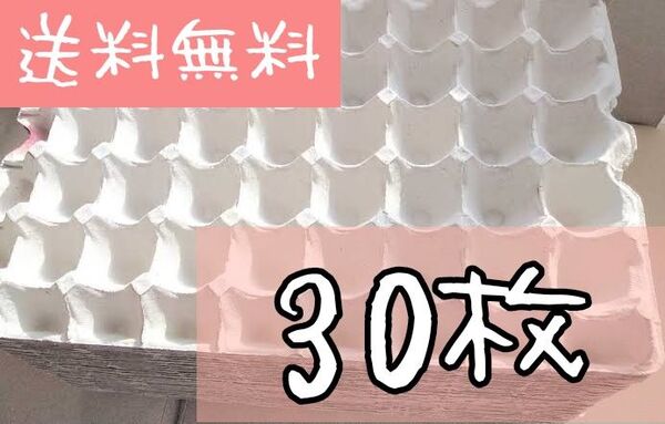 卵トレー30枚 コオロギ 飼育マット デュビアファーム 防音材 梱包材 卵パック 紙製品 DIY 緩衝材 コックローチ 卵トレイ