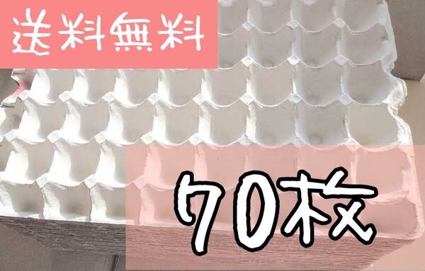 卵トレー70枚 コオロギ 飼育マット デュビアファーム 防音材 梱包材 卵パック 紙製品 DIY 緩衝材 コックローチ 卵トレイ