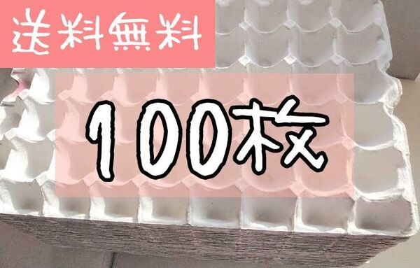 卵トレー100枚 コオロギ 飼育マット デュビアファーム 防音材 梱包材 卵パック 紙製品 DIY 緩衝材 コックローチ 卵トレイ