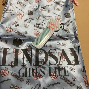 lindsay 巾着 くし
