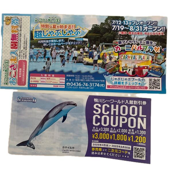 鴨川シーワールド入館割引券 市原キッズダム こどもの国千葉蓮沼ウォーターガーデンプール招待割引