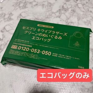 InRed インレッド 7月号 付録のみ ゼスプリ キウイブラザーズ チャームにもなる ぬいぐるみ エコバッグ 付録 キュウイ