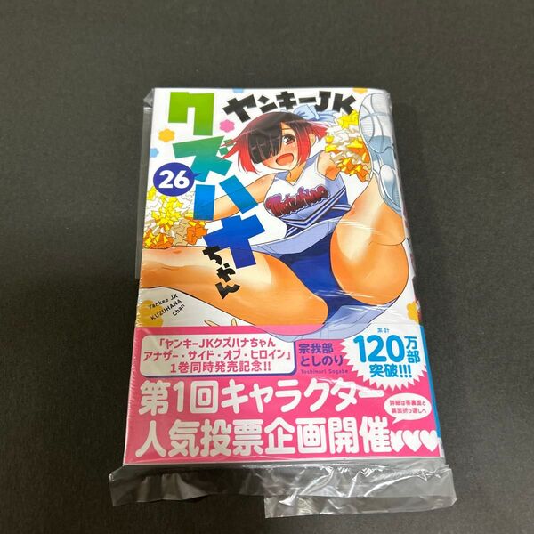 ヤンキーJKクズハナちゃん 26
