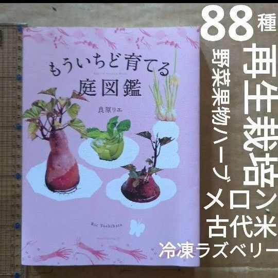 もういちど育てる庭図鑑 リボベジ 再生栽培 野菜づくり 果物 ガーデニング ハーブ 家庭菜園