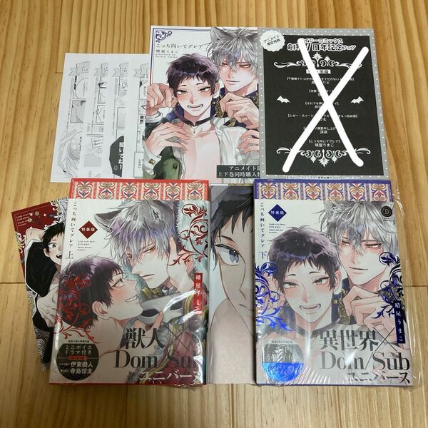 こっち向いてグレア 特装版 アニメイト 特典 リーフレット デイジーコミック 小冊子