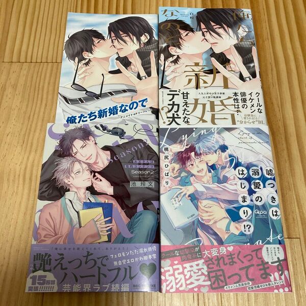 お父さんは性的コンテンツ Season2 嘘つきは溺愛のはじまり!? 俺たち新婚なので アニメイト 特典 リーフレット
