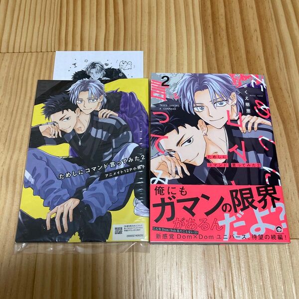 ためしにコマンド言ってみた 2巻 ゆくえ萌葱 アニメイトセット 特典 小冊子 ペーパー