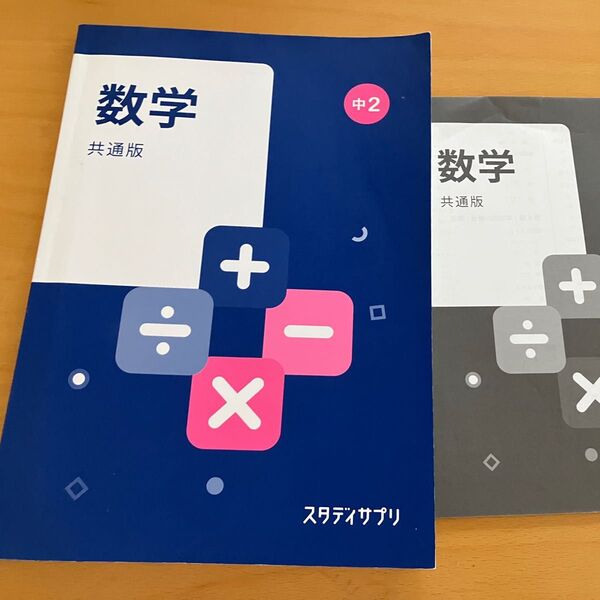 スタディサプリ 中2 数学 共通版 教材 解答解説