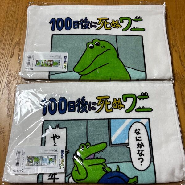新品100日後に死ぬワニ フェイスタオル2枚組 50/73