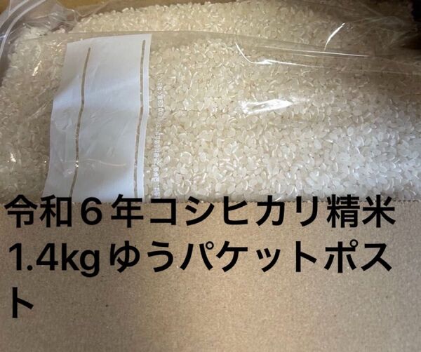 コシヒカリ 茨城県産 令和6年産 精米 1.4kg 保冷庫保存