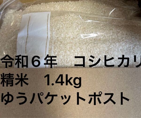 コシヒカリ 茨城県産 令和6年産 精米 1.4kg 保冷庫保存
