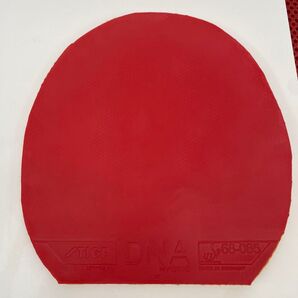 STIGA DNAハイブリッド XH レッド 2.2