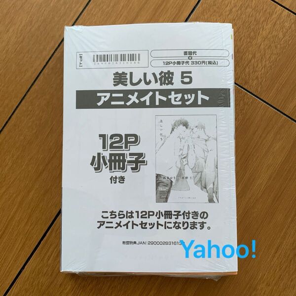 美しい彼 5巻 凪良ゆう 北野仁 アニメイト小冊子 BL新刊