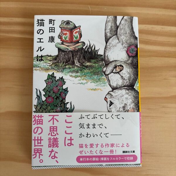 猫のエルは (講談社文庫 ま46-18) 町田康/〔著〕絵 ヒグチユウコ ネコ ねこ 猫の本