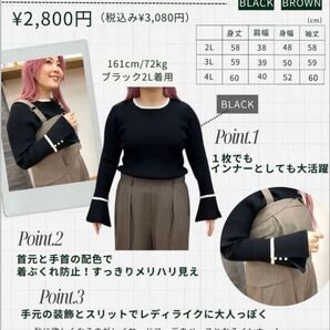 Avail 安藤うぃ コラボ 配色ニットプルオーバー LL ブラウン カテゴリ変更可能 しまむら