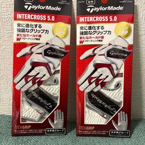 TaylorMade テーラーメイド ゴルフ グローブ インタークロス 5.0 2枚セット 右手用 24cm