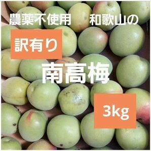 訳あり 農薬不使用 南高梅 大小混合 3kg リサイクル箱使用