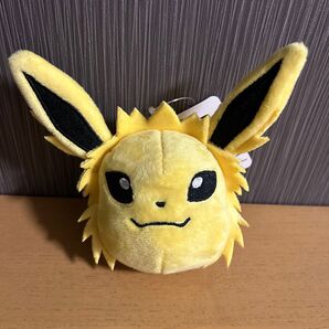 ポケモン サンダー マスコット コインケース