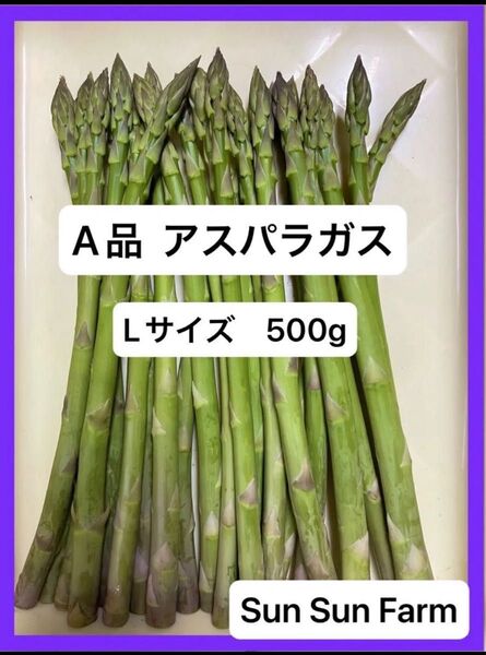 アスパラガス A品 Lサイズ 500グラム 朝採れ発送