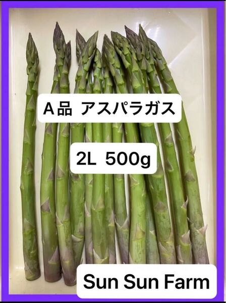 アスパラガス A品 2Lサイズ 500グラム 朝採れ発送