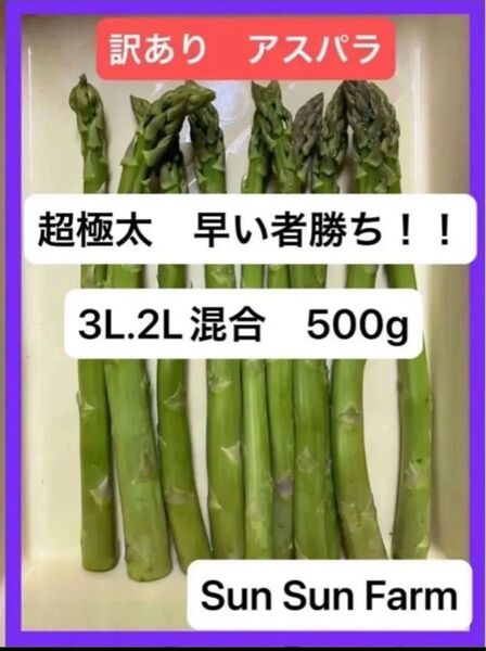お値下げ アスパラガス 訳あり品 3L2Lサイズ混合 500グラム