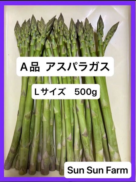 アスパラガス A品 Lサイズ 500グラム 朝採れ発送