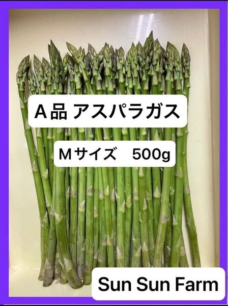 アスパラガス A品 Mサイズ 500グラム 朝採れ発送