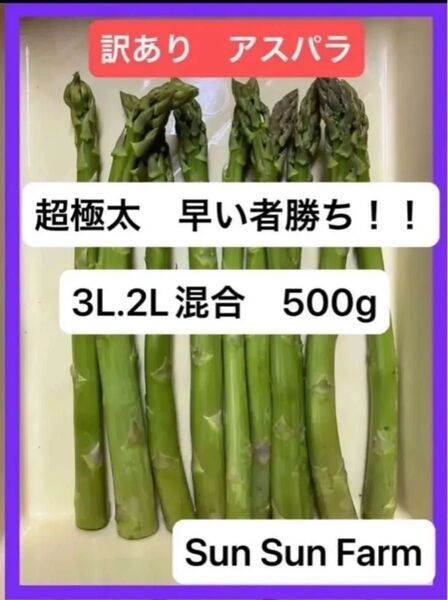 アスパラガス 訳あり品 3L2Lサイズ混合 500グラム 朝採れ発送