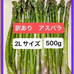 アスパラガス 訳あり品 2Lサイズ 500グラム 朝採れ発送
