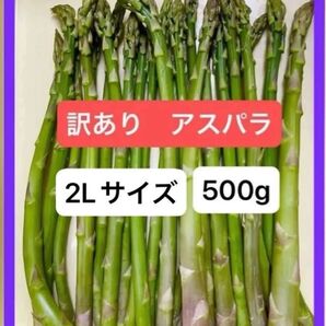 アスパラガス 訳あり品 3L2Lサイズ混合 500グラム 朝採れ発送