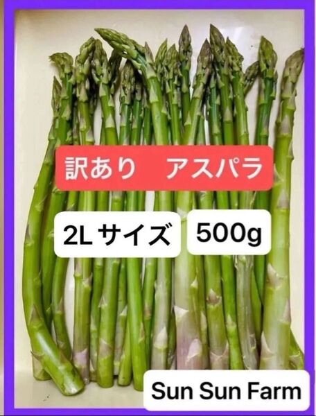 アスパラガス 訳あり品 3L2Lサイズ混合 500グラム 朝採れ発送