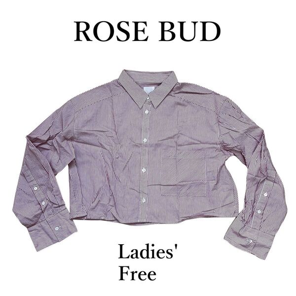 ★ ROSE BUD ローズバッド レディース クロップドシャツ ストライプ フリーサイズ 長袖 シャツ