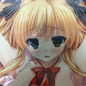 ■新品未開封正規品 初咲 雛乃 抱き枕カバー クロシェット しんたろー プリズム◇リコレクション!
