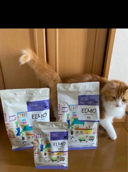 新品猫用キャットドライフード おまけつきエルモ1歳から成猫用インドア2キロ2袋400g1袋合計4.4キロ