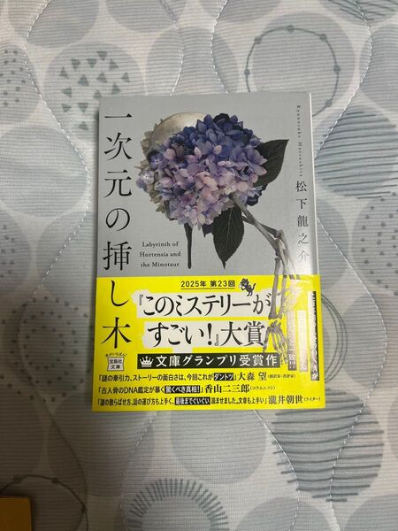 一次元の挿し木 (宝島社文庫 Cま-5-1 このミス大賞) 松下龍之介/著