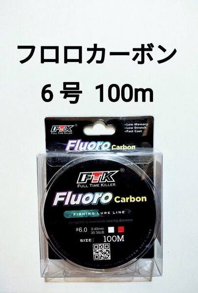 フロロカーボン ライン 6号 100m 30.36lb 釣り糸
