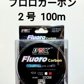 フロロカーボン ライン 2号 100m 9.48lb 釣り糸